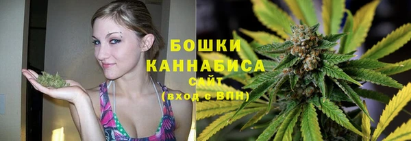 стаф Осташков
