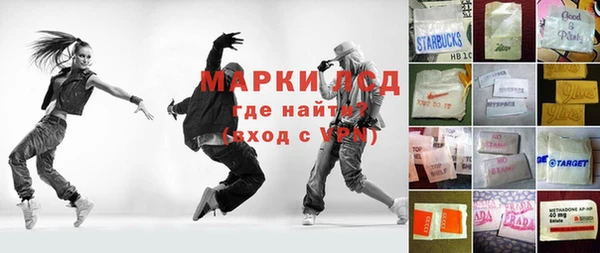 ГАЛЛЮЦИНОГЕННЫЕ ГРИБЫ Осинники