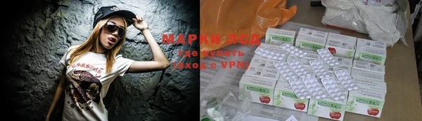 ГАЛЛЮЦИНОГЕННЫЕ ГРИБЫ Осинники