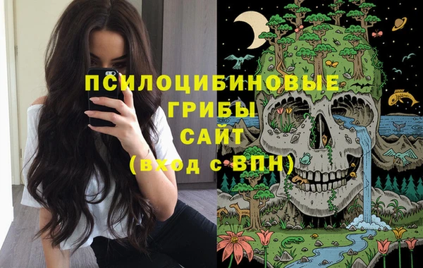 стаф Осташков