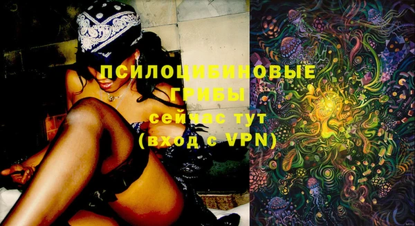 стаф Осташков
