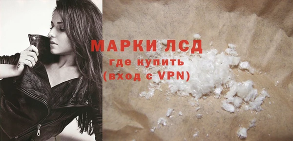 ГАЛЛЮЦИНОГЕННЫЕ ГРИБЫ Осинники